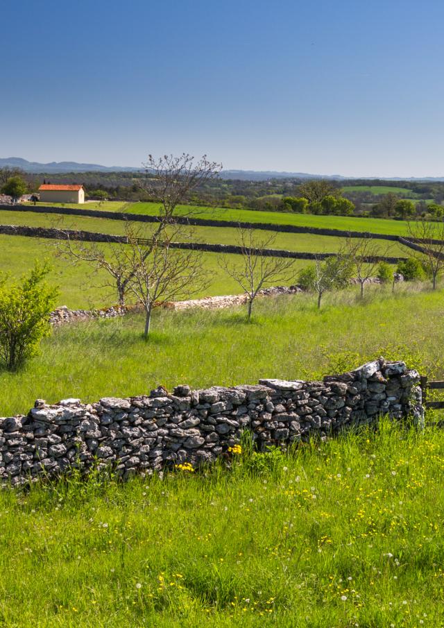 Murets de pierres sèches à Espédaillac