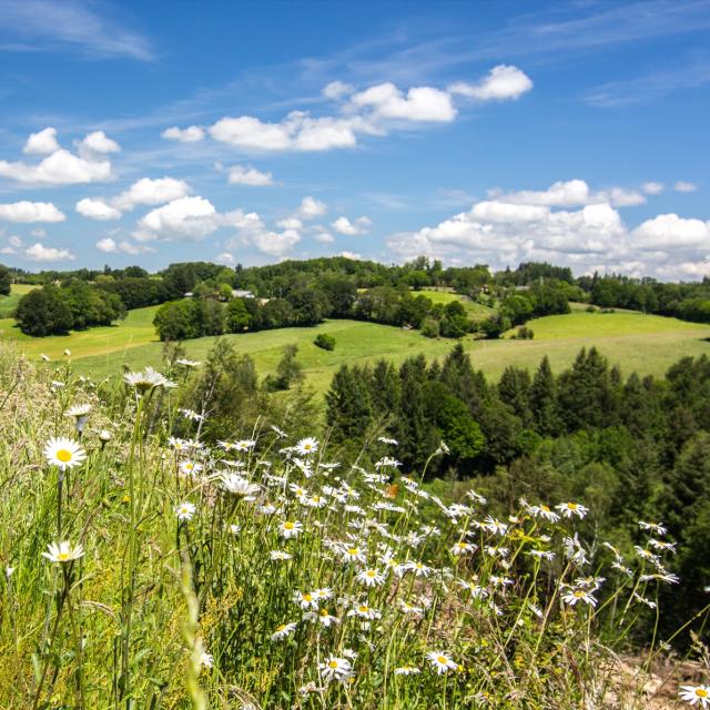 Paysage du Ségala