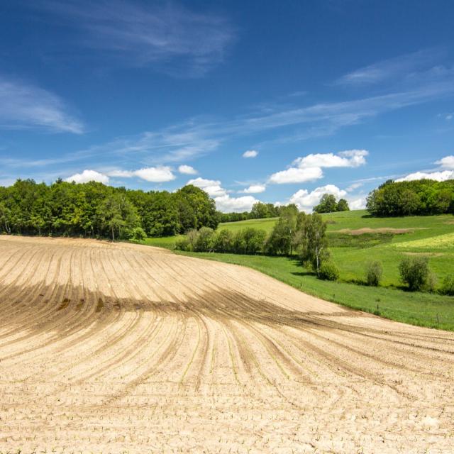 Paysage du Ségala