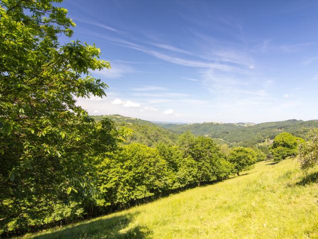 Paysage du Ségala - vue vers St Laurent les Tours