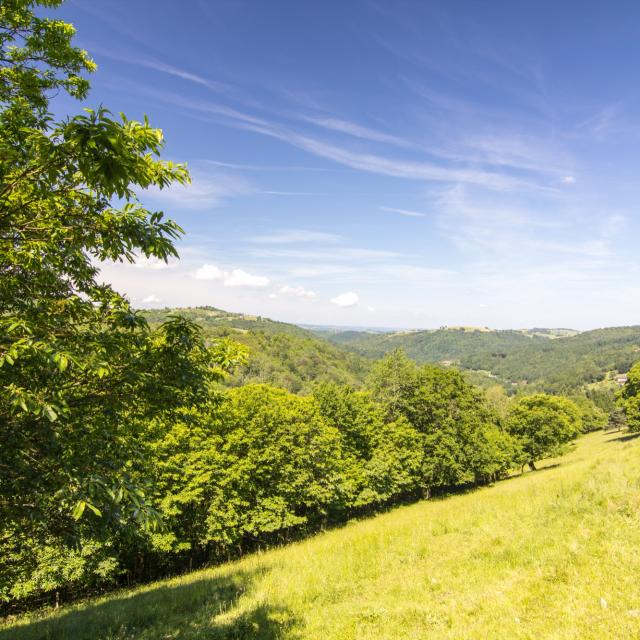 Paysage du Ségala - vue vers St Laurent les Tours