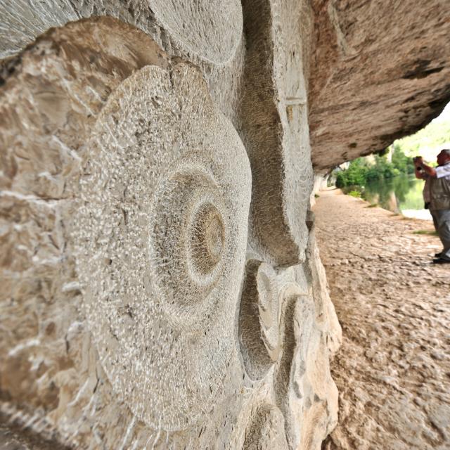 Parois sculptées - Chemin de halage de Ganil à Bouziès