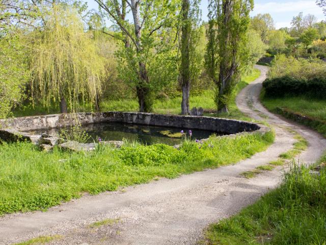 Chemin près de Concots