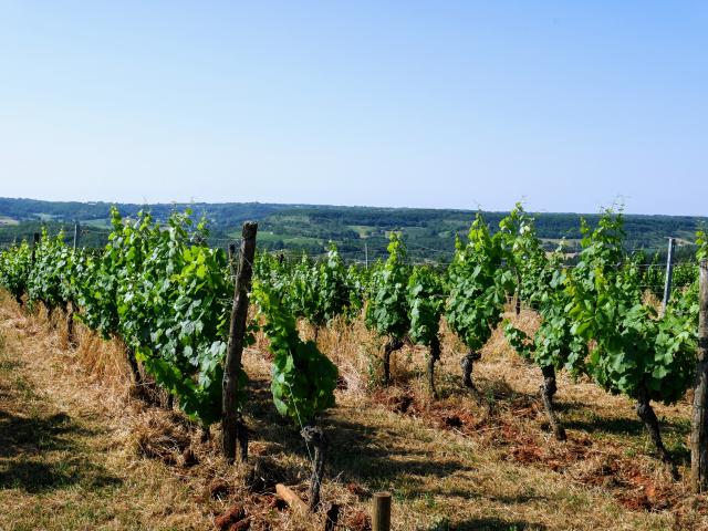 190705chateaudechambertp1020013ccseguy Lottourisme