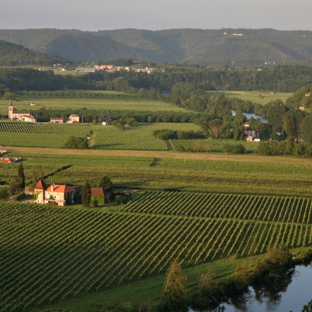 Vignoble à Parnac