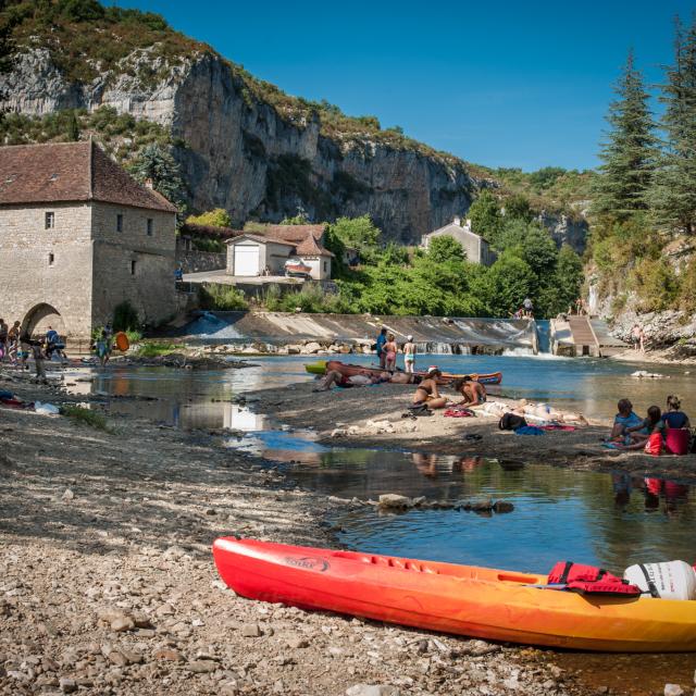 Baignade dans le Célé à Cabrerets