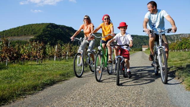 Balade à vélo dans le Vignoble de Cahors