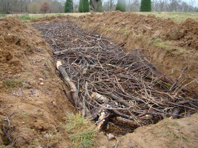 Butte Permaculture