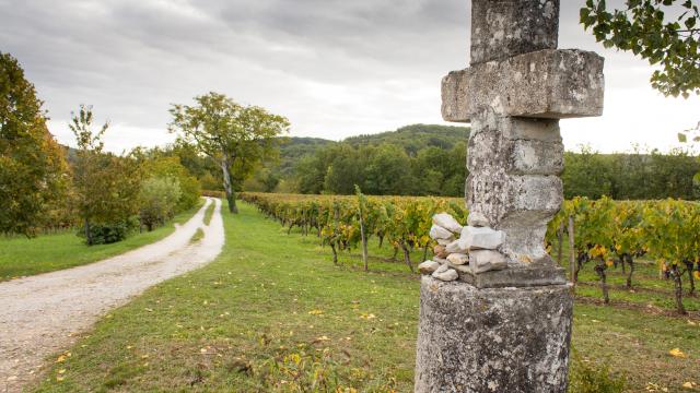 Calvaire et vignes à Caillac