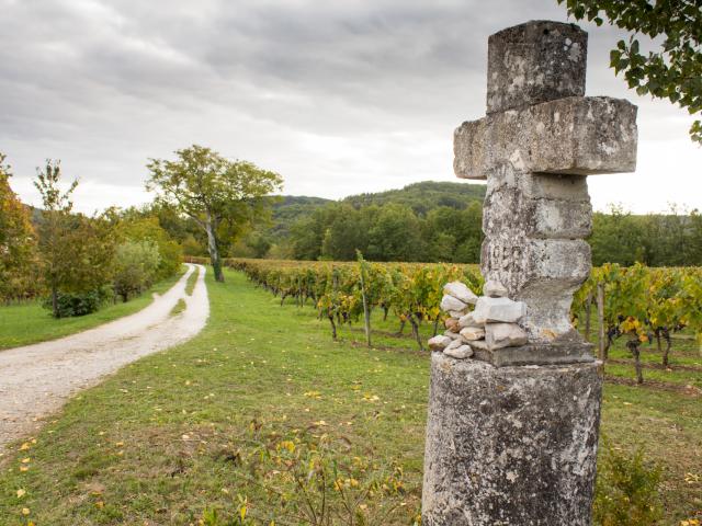 Calvaire et vignes à Caillac