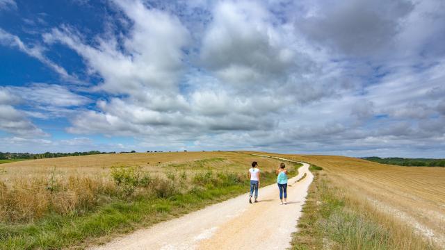 Chemin blanc en Quercy Blanc