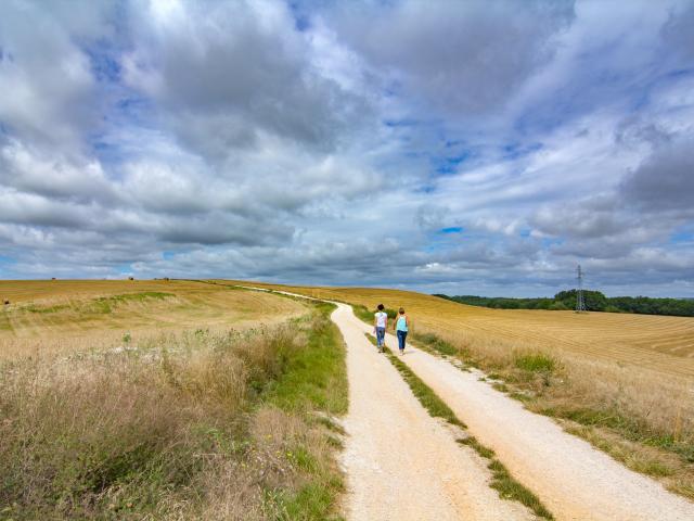 Chemin blanc en Quercy Blanc