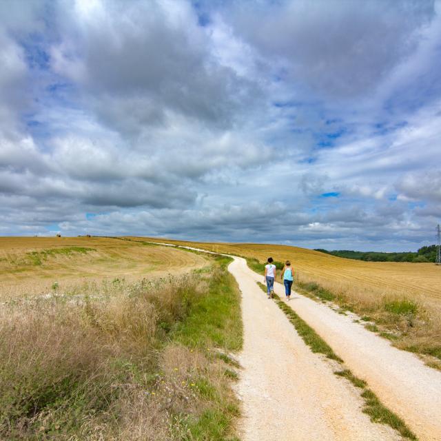 Chemin blanc en Quercy Blanc