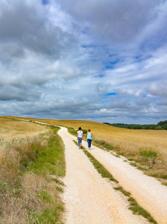 Chemin blanc en Quercy Blanc