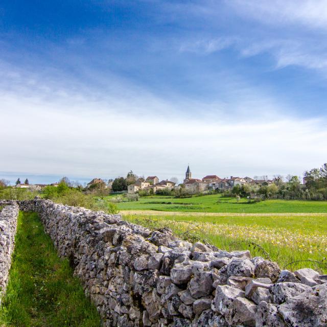 Chemin et murets de pierre sèche à Escamps