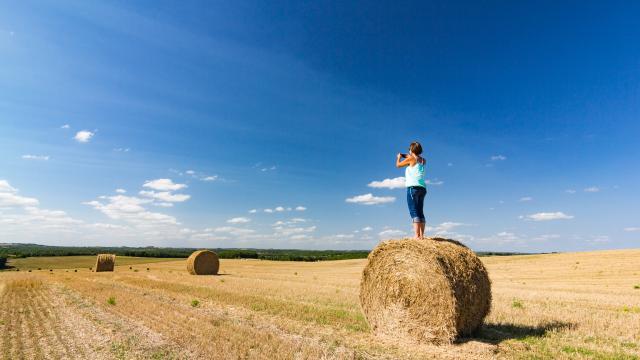 Dans un champ en Quercy Blanc