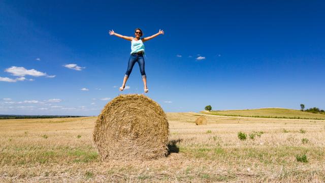 Dans un champ en Quercy Blanc