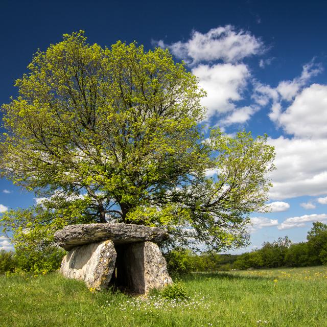 Dolmen à Varaire