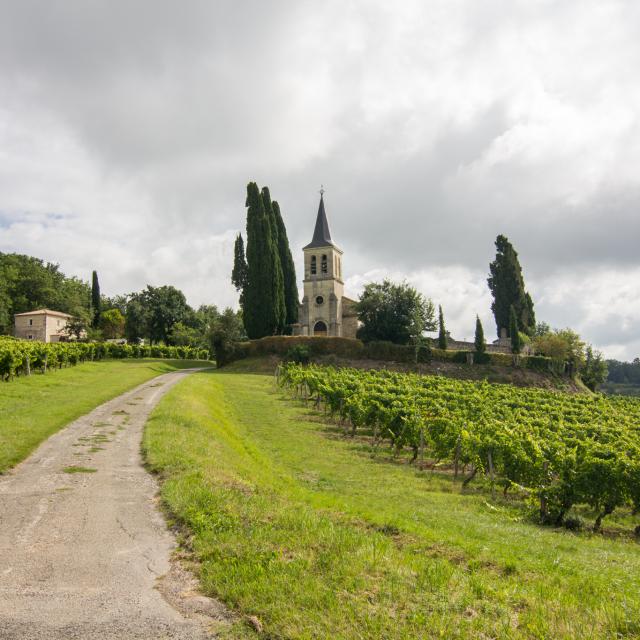 Eglise Saint-Etienne et ses vignes