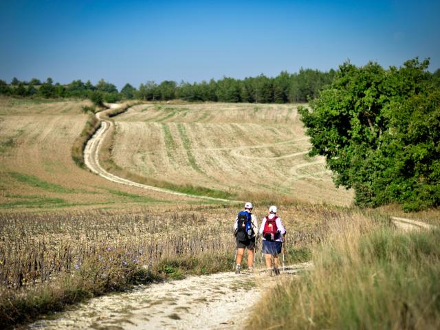 Sur le chemin de St Jacques en Quercy Blanc