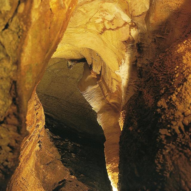 Grotte des Merveilles