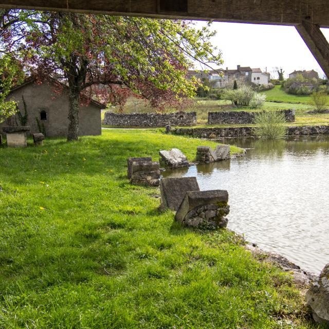 Lavoirs papillons à Escamps