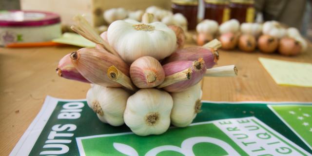 Marché de producteurs à Montcuq