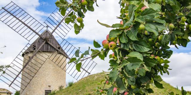 Moulin à Castelnau-Montratier