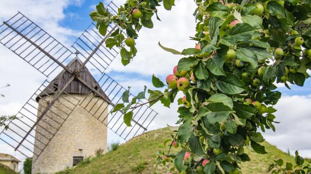 Moulin à Castelnau-Montratier