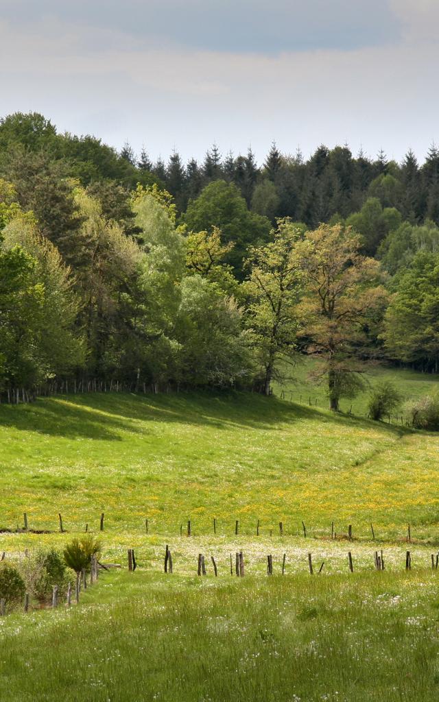 Paysage du Ségala