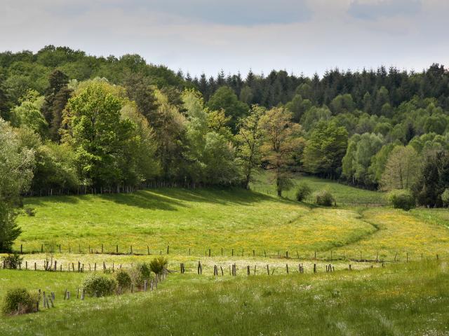 Paysage du Ségala