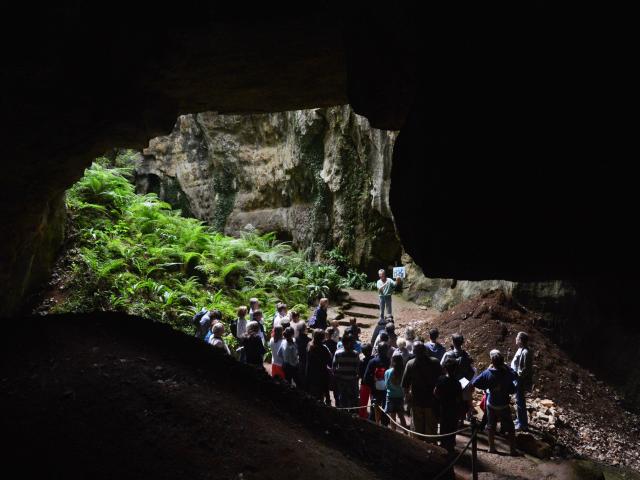 Phosphatières du Cloup d'Aural à Bach