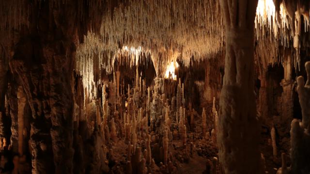 Salles des concrétions naturelles - Grottes de Cougnac