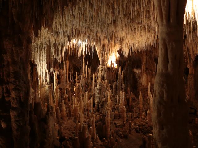 Salles des concrétions naturelles - Grottes de Cougnac