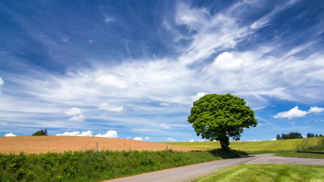 Sur la route à St Médard Nicourby