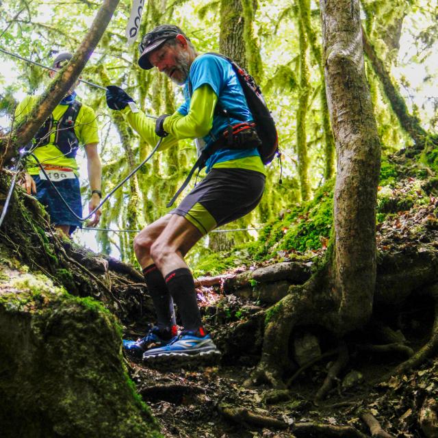 Trail de l'Angelus