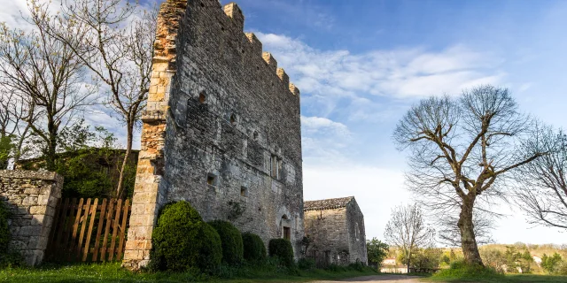 Vestiges du château à Aujols