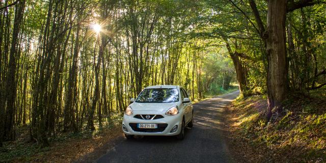 Voiture en sous-bois