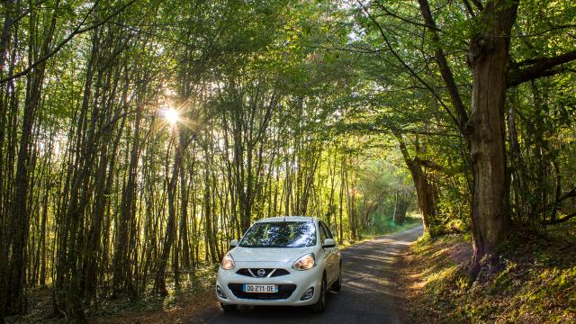 Voiture en sous-bois