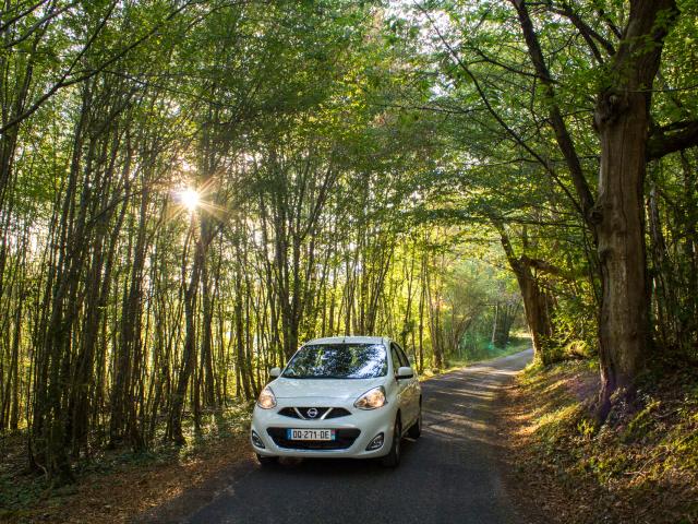 Voiture en sous-bois