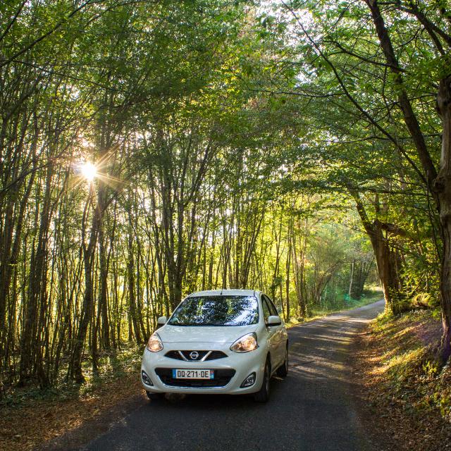 Voiture en sous-bois