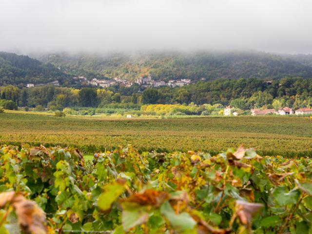 Vue d'Albas depuis les vignes