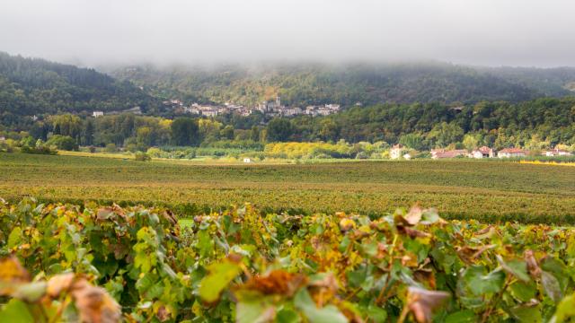 Vue d'Albas depuis les vignes