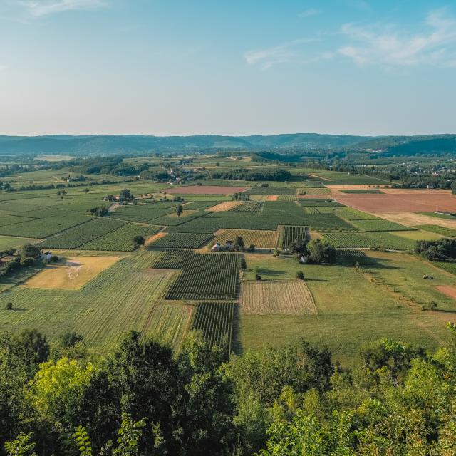 Vue sur le vignoble depuis Bélaye