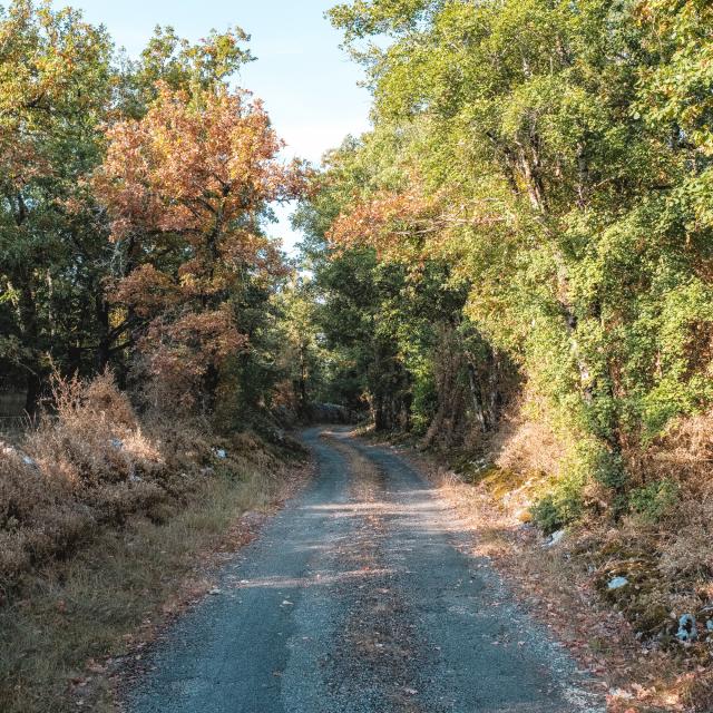 Sur les routes du causses