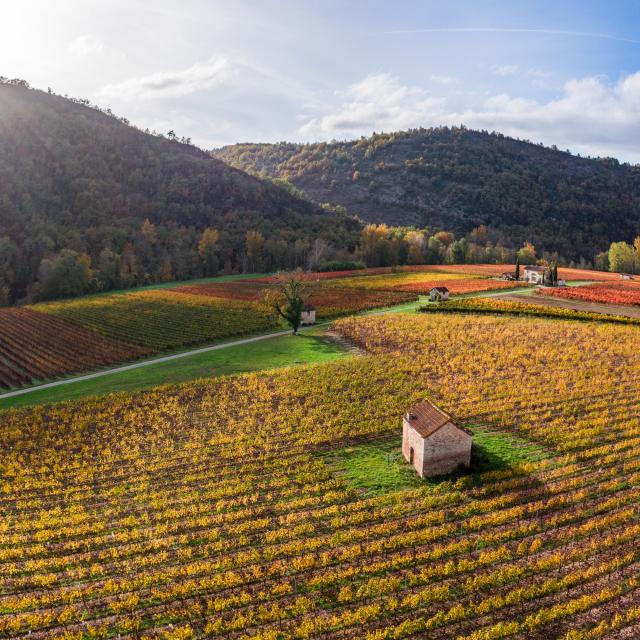 Vignoble de Cahors en automne à Luzech