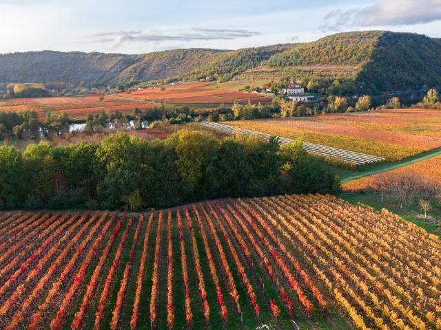 Vignoble de Cahors en automne à Parnac