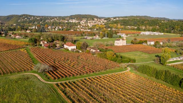 Vignoble de Cahors près de l'Eglise Saint Pierre es Liens à Puy-L'Evêque