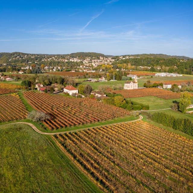 Vignoble de Cahors près de l'Eglise Saint Pierre es Liens à Puy-L'Evêque