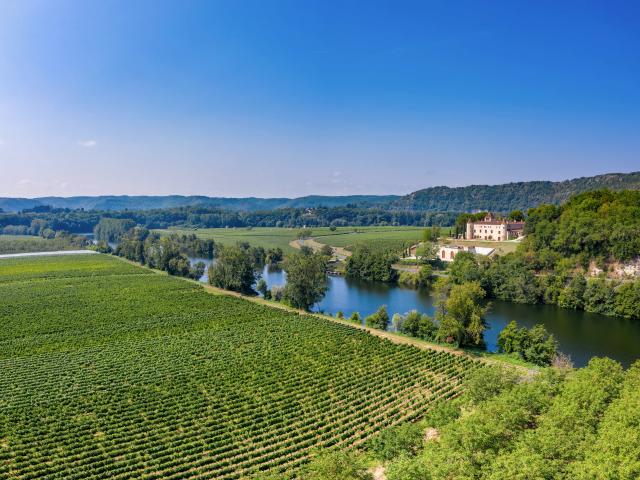 Château de Caïx et vignoble de Cahors